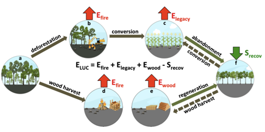 图1 ORCHIDEE模型中所包括的土地利用过程（毁林造田的碳排放、新增农田的滞后排放、木材砍伐的排放以及生态恢复和人工造林产生的次生林碳吸收）.png