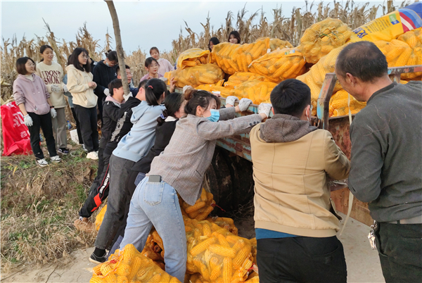 研究生助力团成员在帮助合阳南沟社区村民装运玉米.jpg