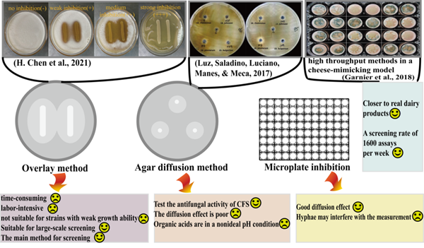 图1 抗真菌乳酸菌的筛选方法.png