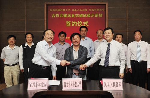 我校与凤县宝鸡共建花椒试验示范站