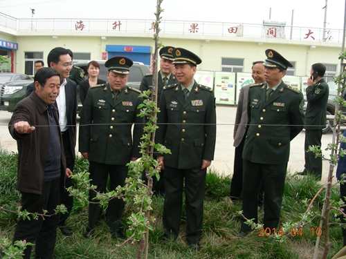 李丙智教授向林淼鑫少将一行介绍苹果矮砧栽培技术模式&nbsp