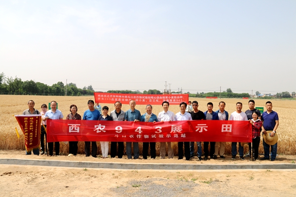 QQ图片20200602092248_副本.jpg