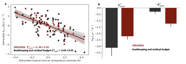 图3 ORCHDEE模型模拟的陆地碳汇对热带气温的敏感性（γ值）与观测相吻合（a），但是土地利用效应的γ值比以往估算要高，而原生生态系统的γ值比以往估算更低（b）。_副本.png