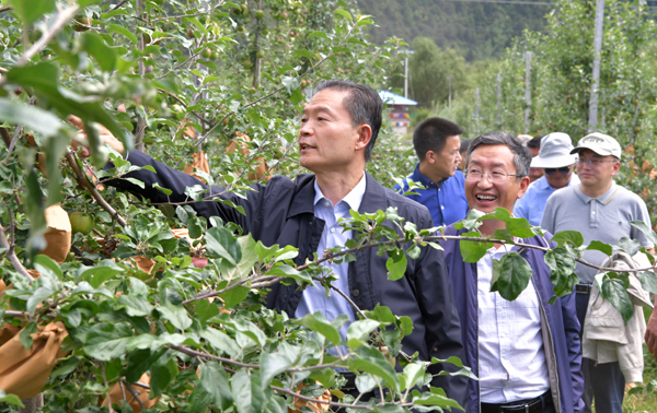 9,李興旺,呂衛東一行考察林芝種植的我校培育的蘋果新品種瑞陽--支勇