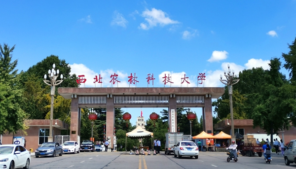 2（龙清林摄）_副本.jpg