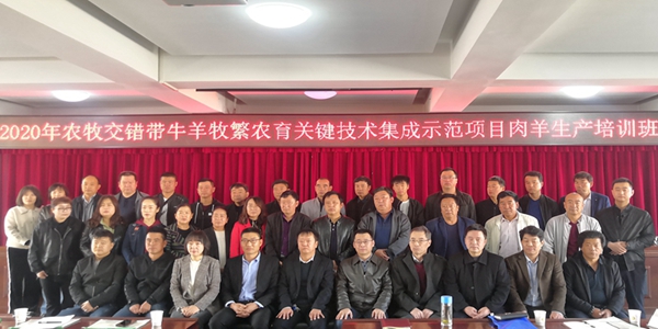 培训班合影_副本.jpg