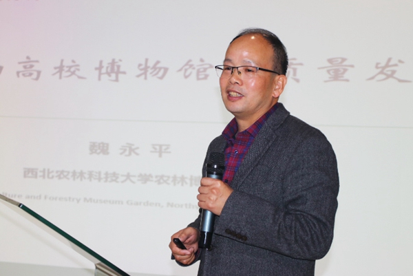 600图一_副本.jpg