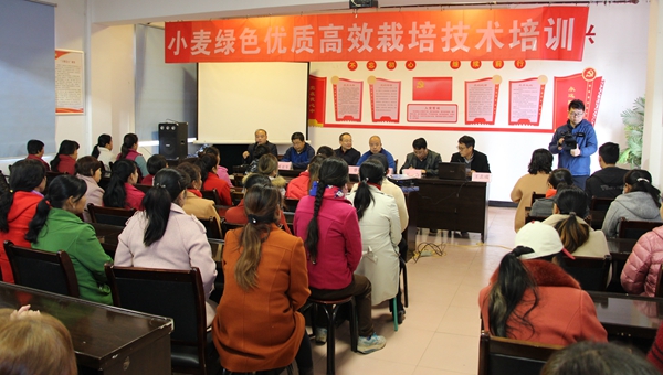 培训现场_副本.jpg