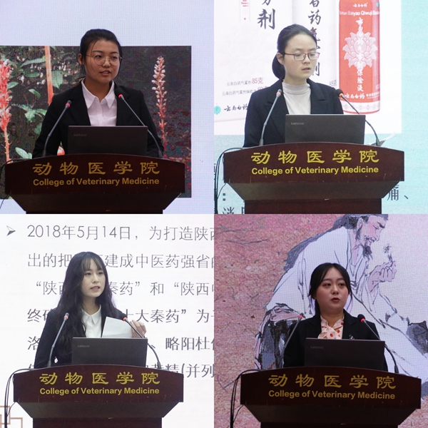 600部分参赛选手比赛_副本.jpg