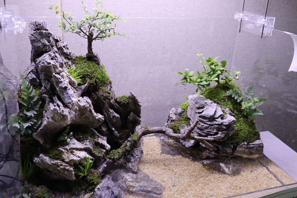古渡参详_副本.jpg