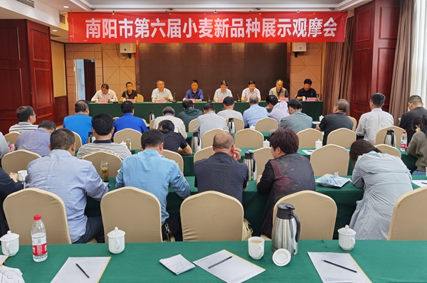 新品种观摩展示会_副本.jpg