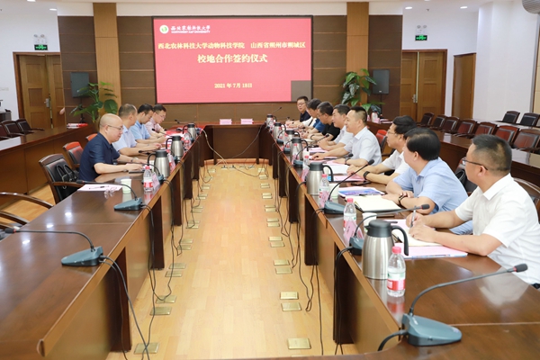 会议现场.JPG