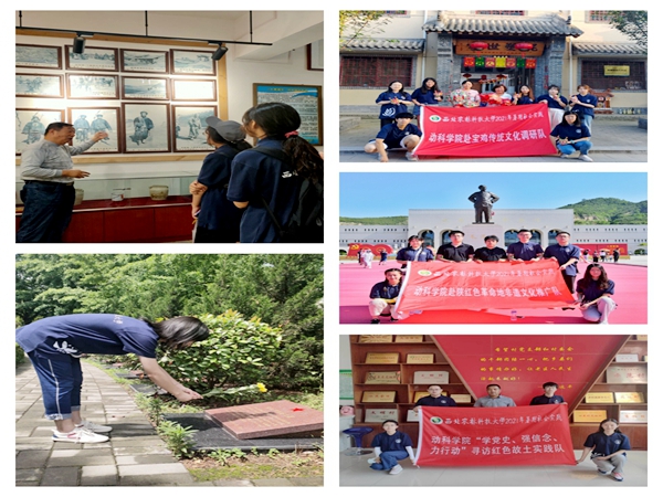 追寻传统文化_副本.jpg