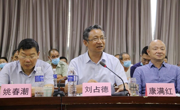 联盟理事长刘占德研究员总结发言_副本.jpg