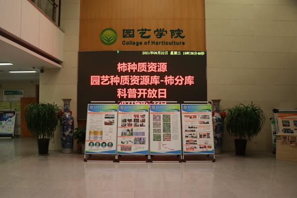 活动部分展板_副本.jpg