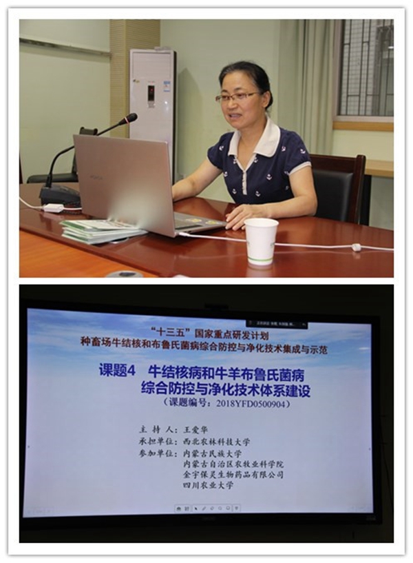 图二王爱华教授汇报课题完成情况_副本.jpg
