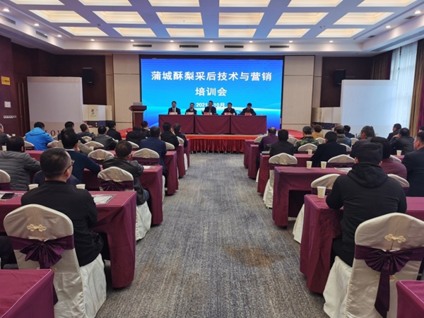 培训会现场_副本.jpg