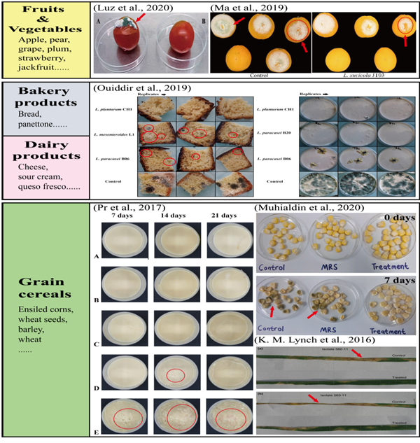 图3 抗真菌乳酸菌在食品中的应用.png