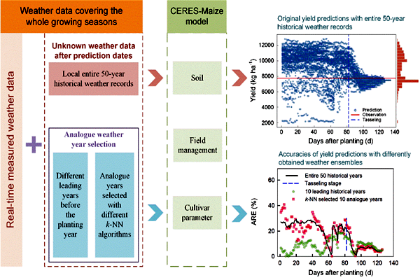 图2 基于不同相似气象年型数据的玉米生长季内逐日动态产量预测_副本.png