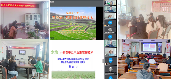 培训现场_副本.png