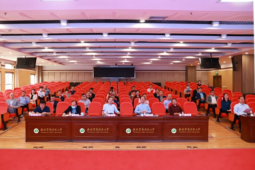 会议现场2.jpg