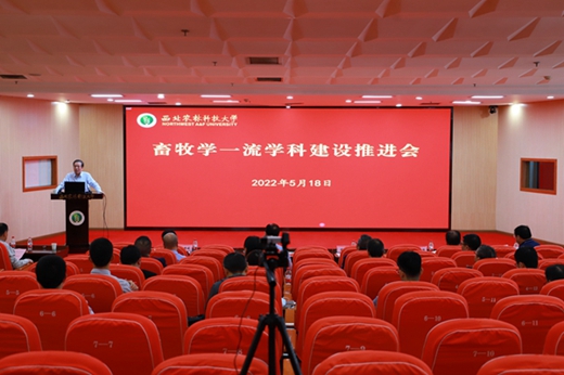 会议现场1.jpg
