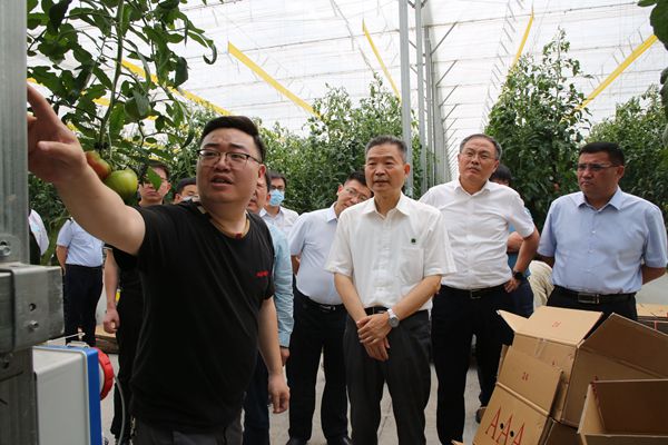 为新疆发展持续贡献西农智慧和力量 ——李兴旺率队赴新疆调研纪实