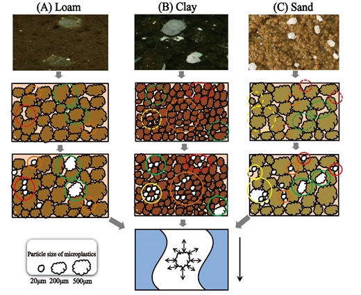 图2微塑料颗粒影响土壤水力特征的潜在作用机制_副本.jpg