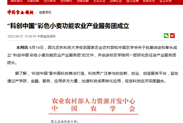 11_副本_副本.png
