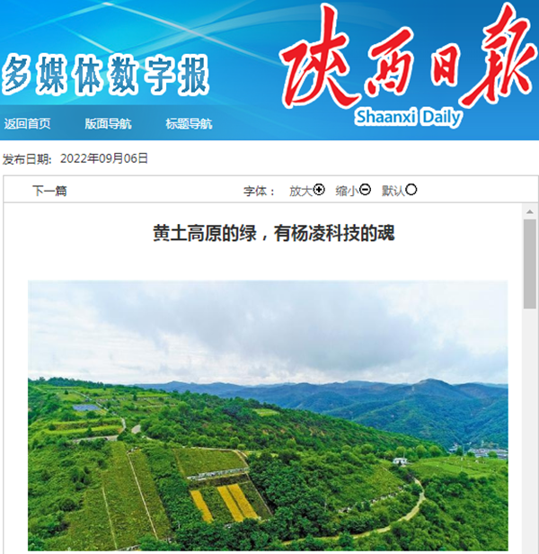 QQ图片20220907114057_副本.png