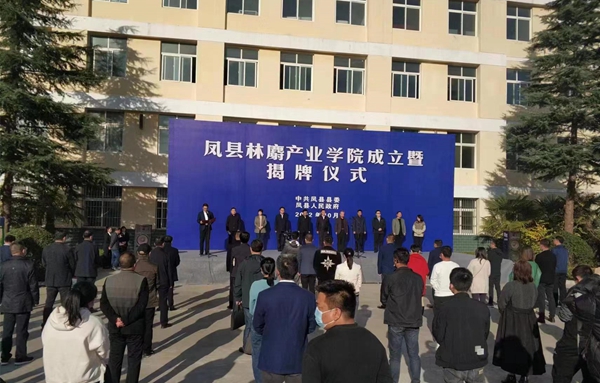 f021260d5fe4ee484834e86fa055f8e_副本_副本.jpg