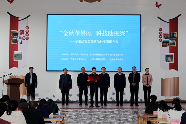 启动仪式现场_副本.jpg