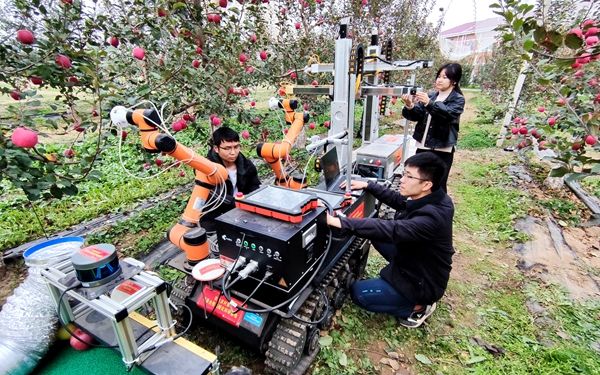 杨福增教授团队成员们调试苹果双臂采摘机器人系统_副本.jpg