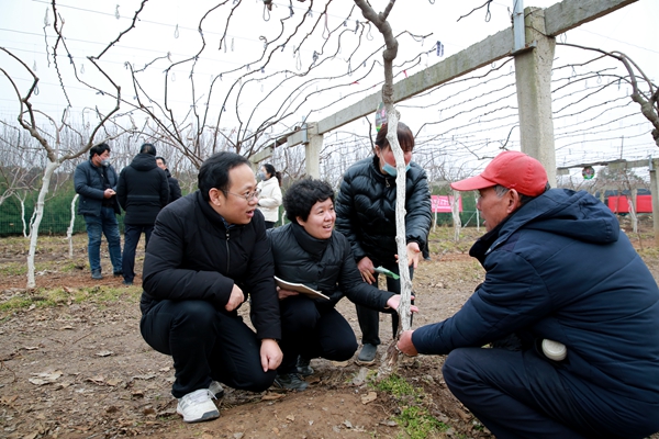 刘巍等团队成员给周至县果农讲授猕猴桃树腐烂病防控要领_副本.jpg