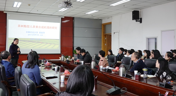 高丽萍教授作学术报告_副本.jpg