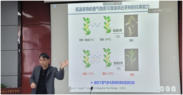 报告会现场 (2)_副本.jpg