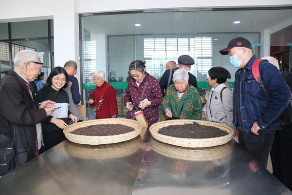 会员参观黑毛茶精制拼配车间_副本.jpg