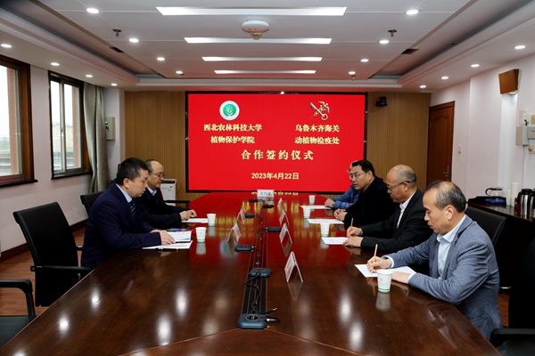 座谈会现场_副本.jpg