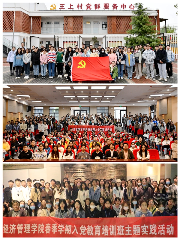 实践活动_副本.jpg