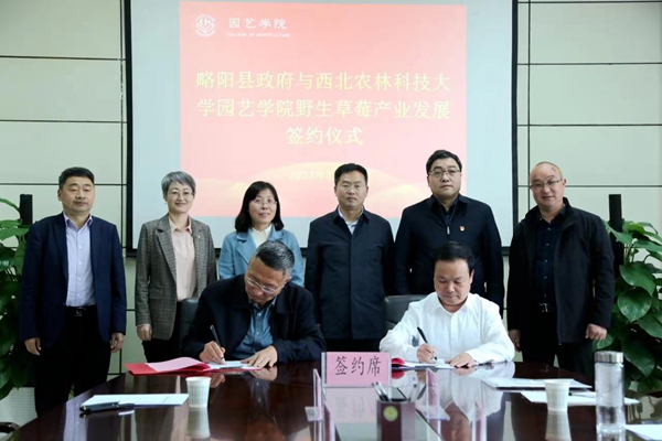 签约仪式现场_副本.jpg