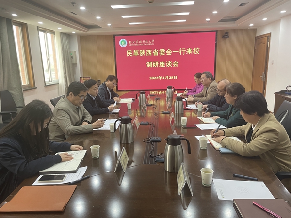 座谈会现场_副本.jpg