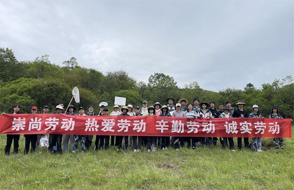 劳动教育_副本.jpg