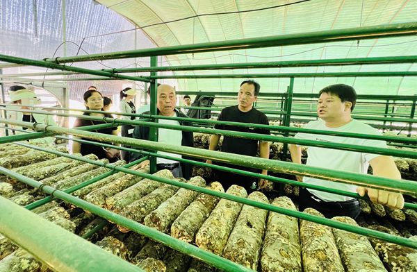 图片2_副本.jpg