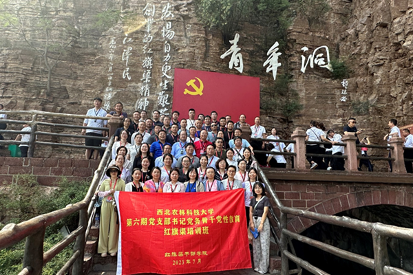 图片2_副本.png
