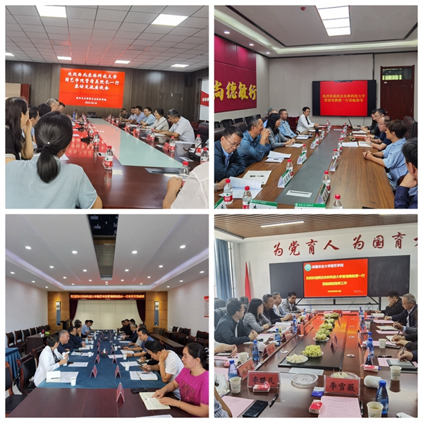座谈会_副本.jpg