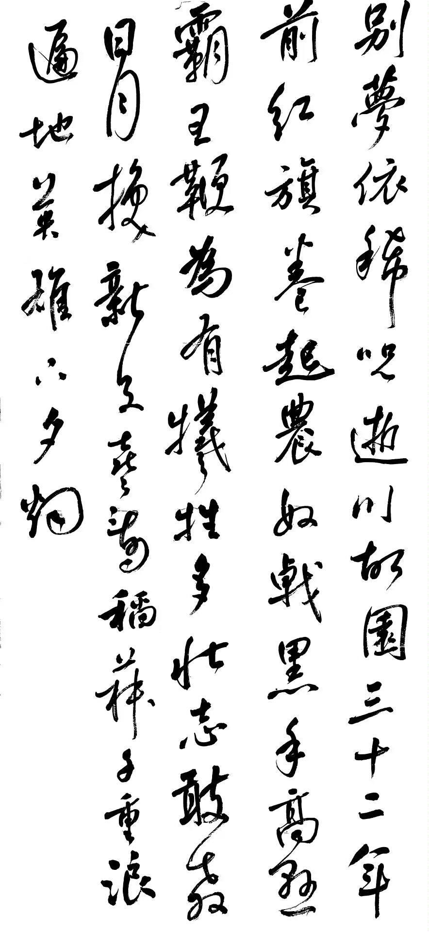 植保学院 任朝宇_副本.jpg