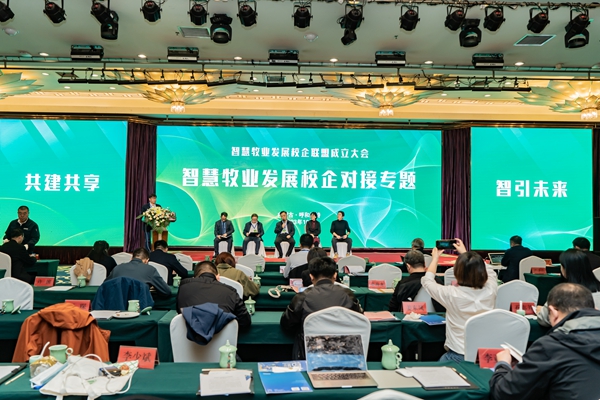 图8 五人排排坐_副本.jpg