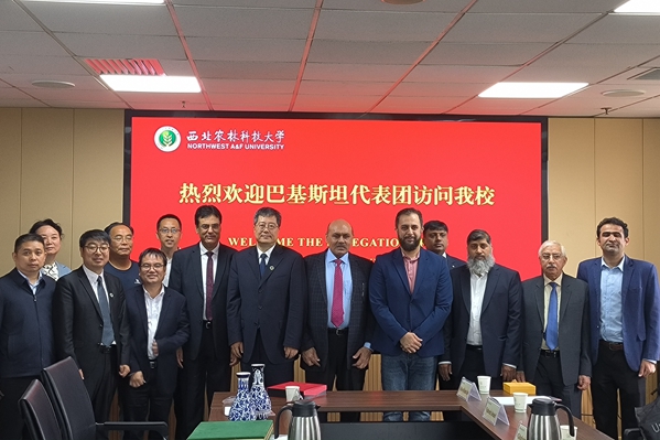 图片2:巴基斯坦代表团来访_副本.jpg