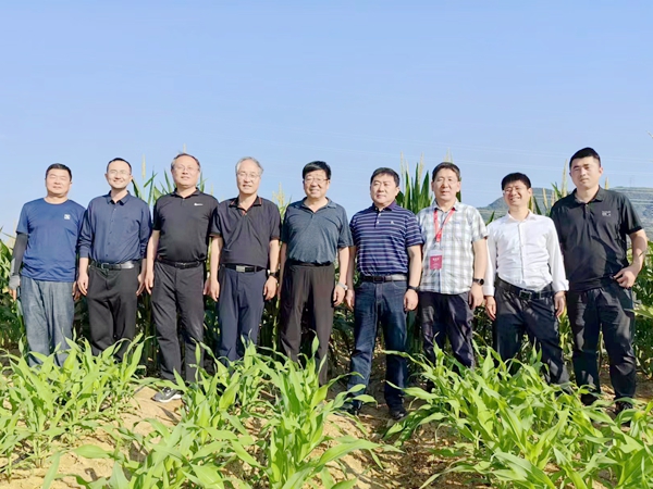 06吴普特调研我校南繁基地.jpg