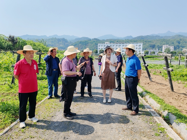 听取安康中药材试验示范站周自云站长的介绍_副本.jpg